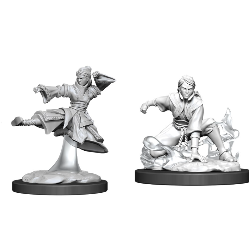 D+ampD - Nolzur+039s Marvelous Miniatures - Female Human Monk D+ampD - Nolzur+039s Marvelous Miniatures - Female Human Monk