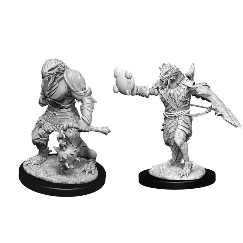 DND  Nolzurs Marvelous Unpainted Miniatures Male Dragonborn Paladin W11