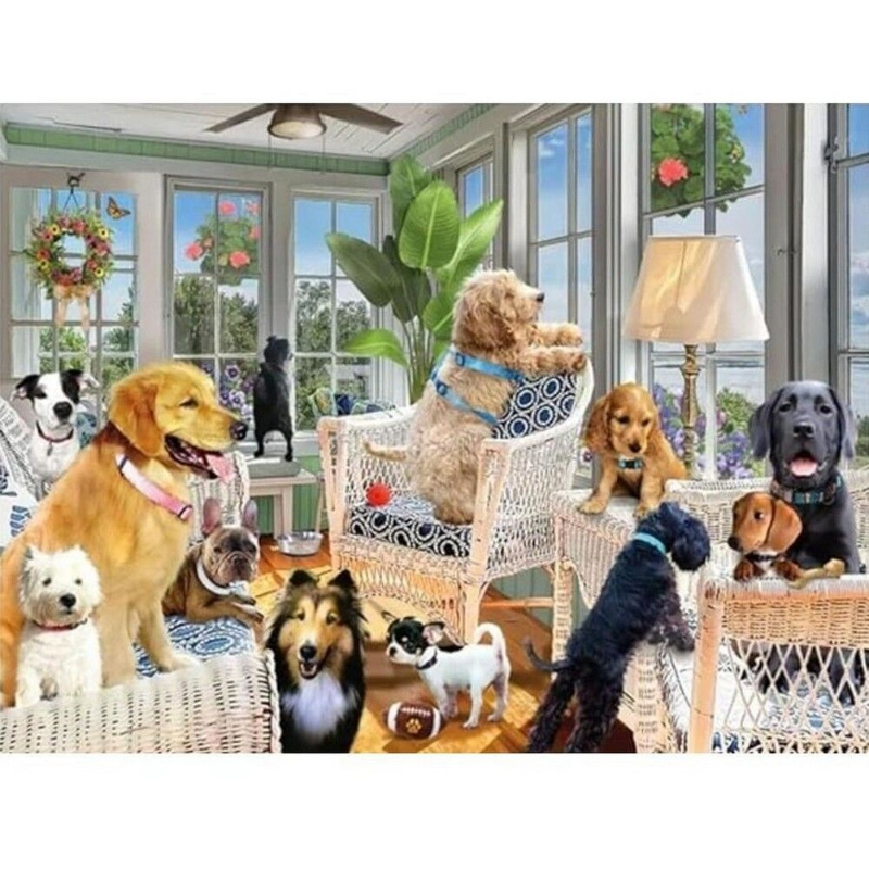 Prime 3D Dogs in the Sunroom Prime 3D Dogs in the Sunroom