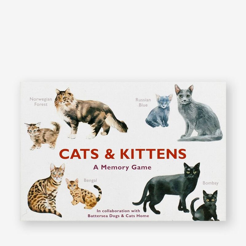Cats and Kittens  Memory Game