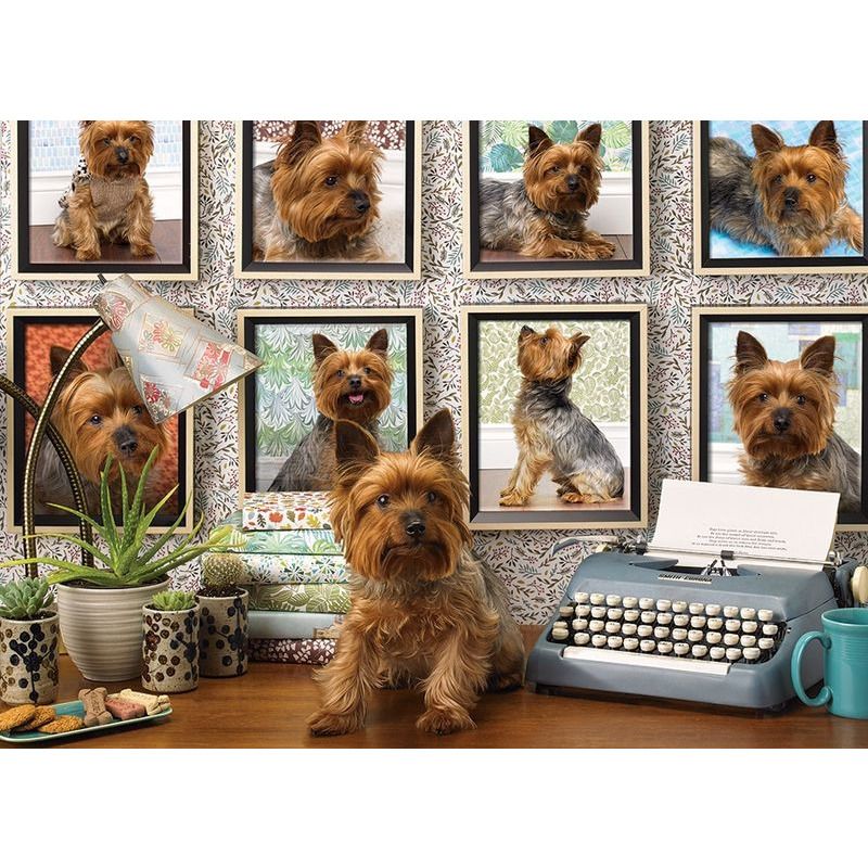 Cobble Hill   Yorkies Are My Type