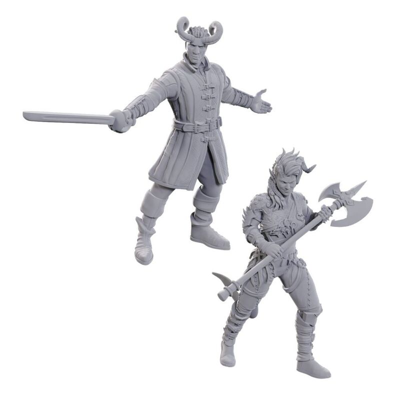 DandD Nolzurs Marvelous Unpainted Miniatures  Baldurand39s Gate 3 Wyll and Karlach