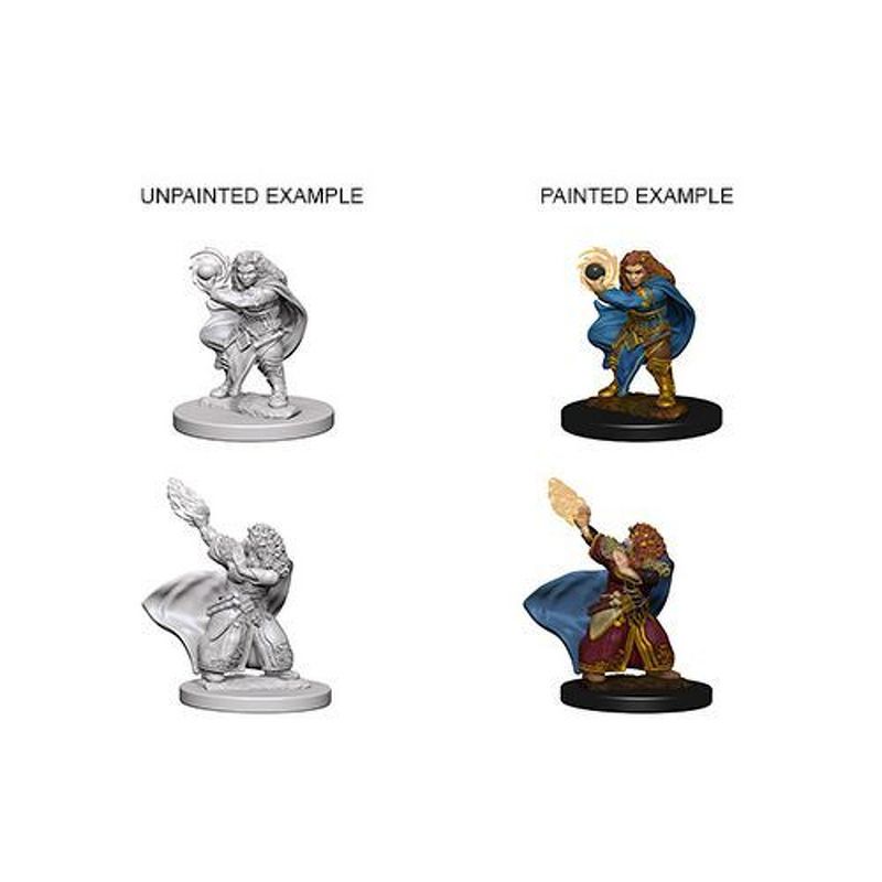 Dungeons and Dragons  Nolzurand39s Marvelous Miniatures  Dwarf Female Wizard