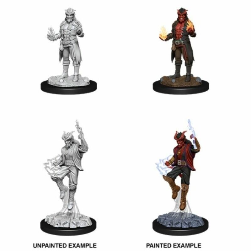 Dungeons andamp Dragons  Nolzurs Marvelous Miniatures Tiefling Male Sorcerer