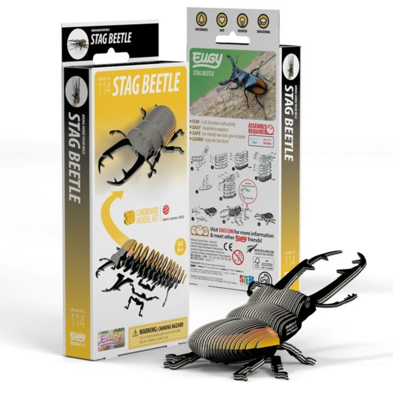 Eugy  Stag Beetle
