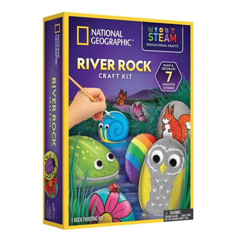 National Geographic  Rock Painting Activity Kit