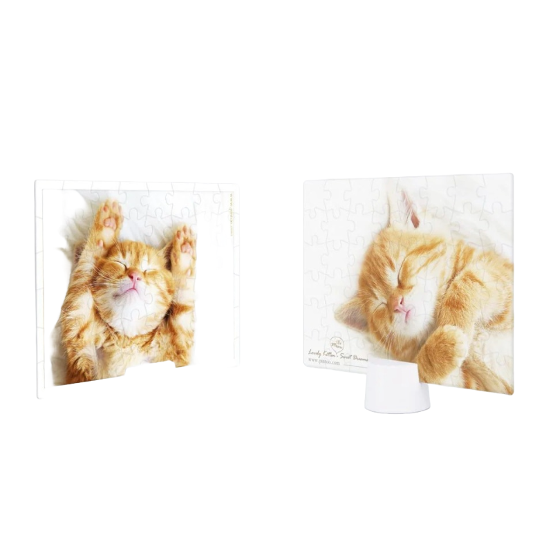 Pintoo Showpiece Double Sided  Kittens Napping Time Double Sided