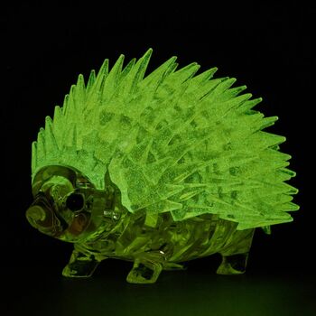 3D Crystal  Hedgehog Glow in the Dark