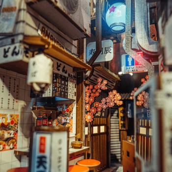 Anavrin  Book Nook Omoide Yokocho