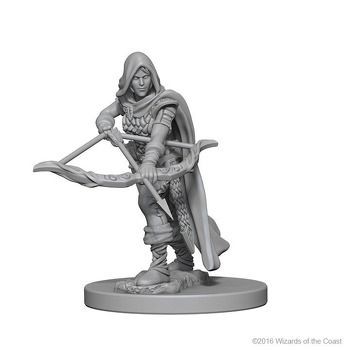 Dungeons and Dragons  Nolzurand39s Marvelous Miniatures  Human Female Ranger