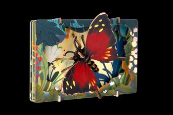 EscapeWelt  Animal Kingdom  Butterfly
