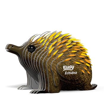 Eugy - Echidna