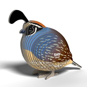 Eugy - Quail