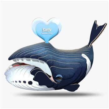 Eugy  Boehead Whale