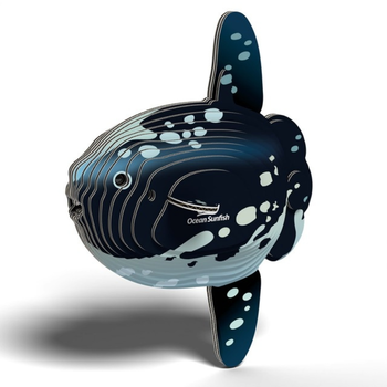 Eugy  Ocean Sunfish
