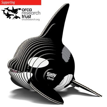 Eugy  Orca