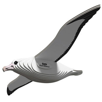 Eugy  Royal Albatross