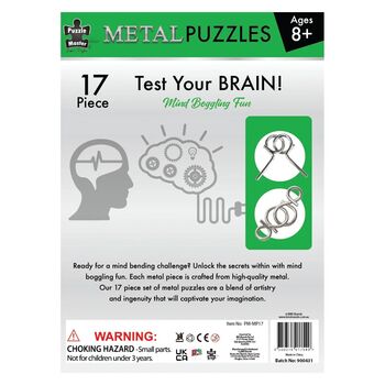 Puzzle  17 Metal Puzzles Pack