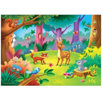 Ravensburger  How Many Can You Count