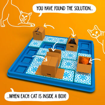 Smart Games  Cats andamp Boxes